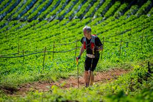 BIB: 
                            <button type="button" onclick="openModal(19163142)" class="btn btn-primary btn-sm float-right btn-popup" data-toggle="modal" data-target=".modal-high-quality">
                        <i class="fas fa-shopping-cart"></i> Add to Cart
                    </button>
                                            <button type="button" onclick="isThisMe(19163142, true)" class="btn btn-success btn-sm float-right btn-popup btn-isme hidden" data-toggle="tooltip" data-placement="bottom" title="นี่คือรูปของคุณใช่ไหม คลิกที่นี่เพื่อเอาเข้าอัลบั้ม">
                        <i class="fas fa-plus"></i> Add to album
                    </button>
                    <button type="button" onclick="isThisMe(19163142, false)" class="btn btn-warning btn-sm float-right btn-popup btn-isnotme hidden">
                        <i class="fas fa-ban"></i> Remove from album
                    </button>